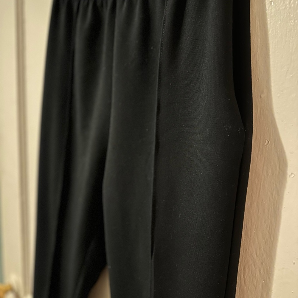 Anthropologie Pleated Trousers